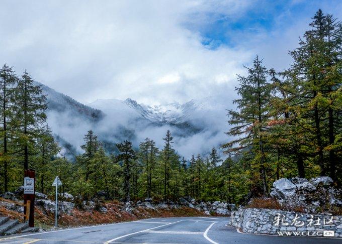 拯救米乐米可