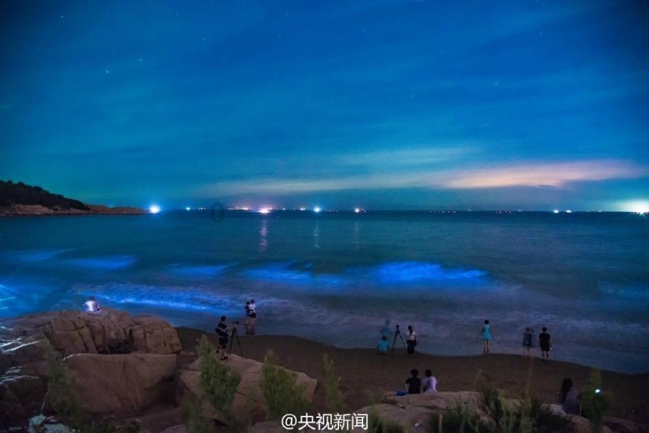 蓝狐视频