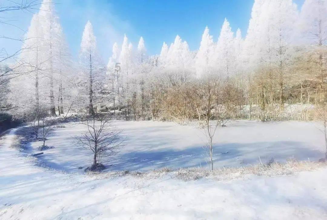 《繁花》里，阿宝爱的到底是谁？