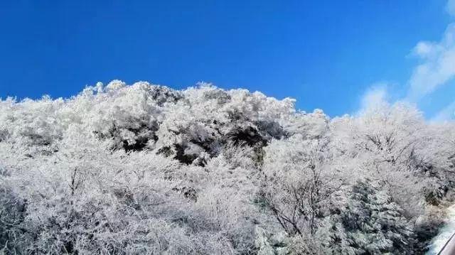 试行跨省际铁海联运 贵州积极推动通道平台能效提级