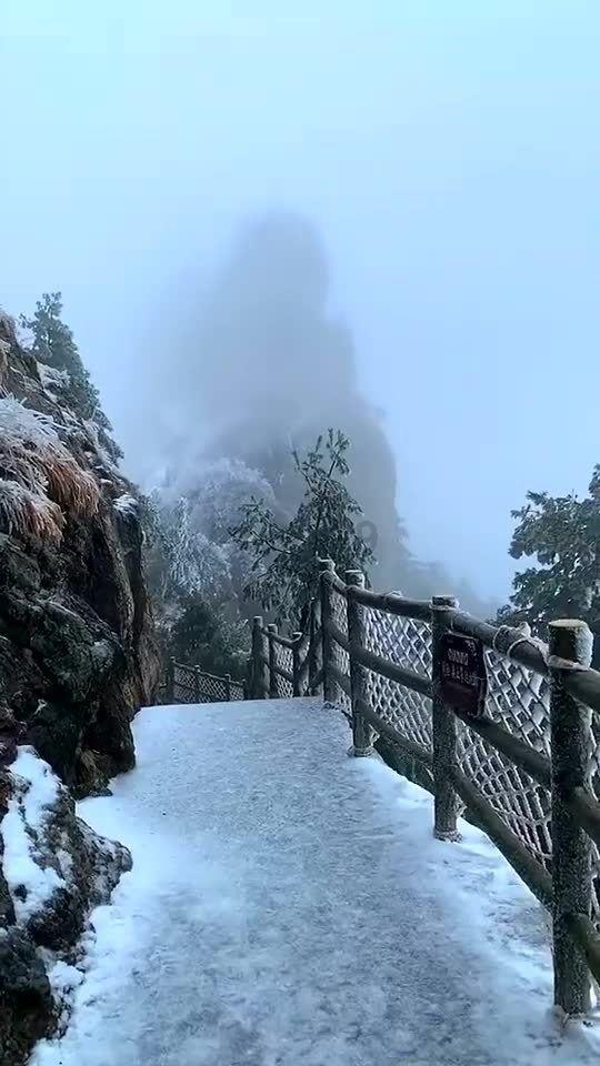 小简问答-方便快捷的高筋面粉能做面包吗平台