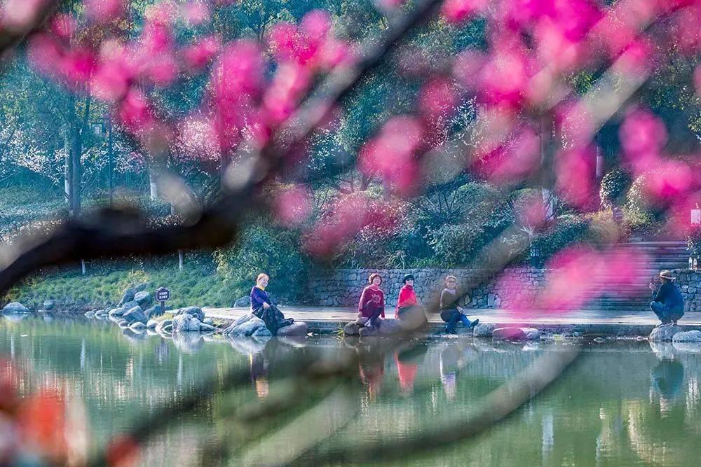 脑洞小老弟无实名认证