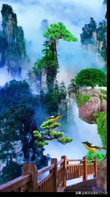 春雨直播app