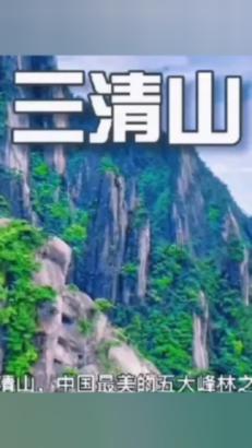 说说你在野球场见过最强的中锋?- 专业问答社区