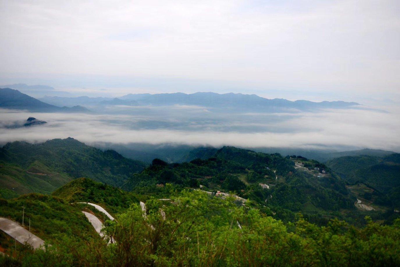 小猫钓鱼游戏龙王版有船