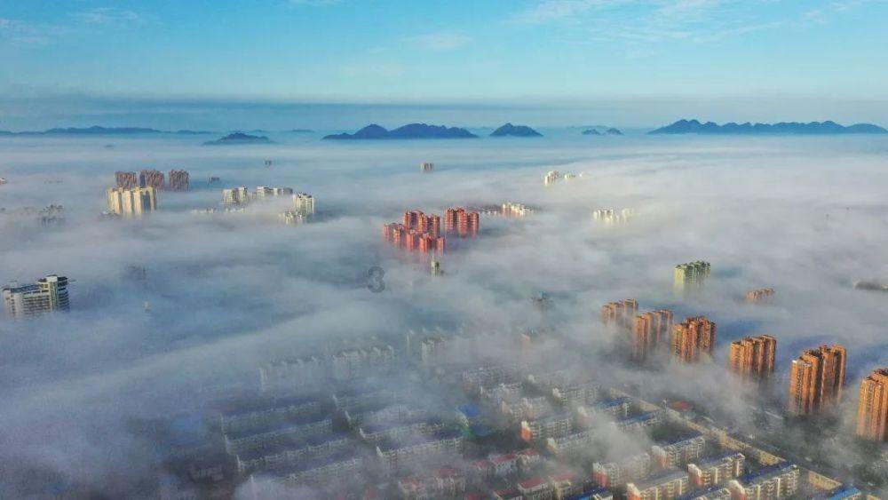 小猫钓鱼游戏龙王版有船