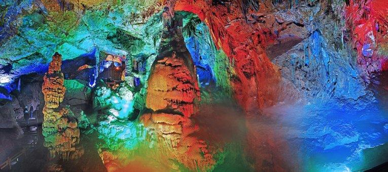 生物题：为什么科（或属）愈小与其最接近的科（或属）之间的距离愈大?