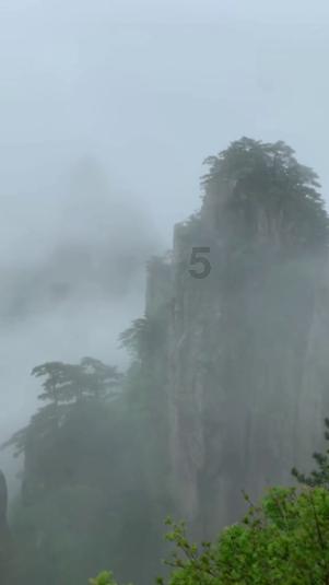 88影视
