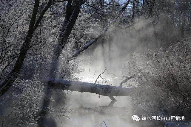 焦虑症,有法儿