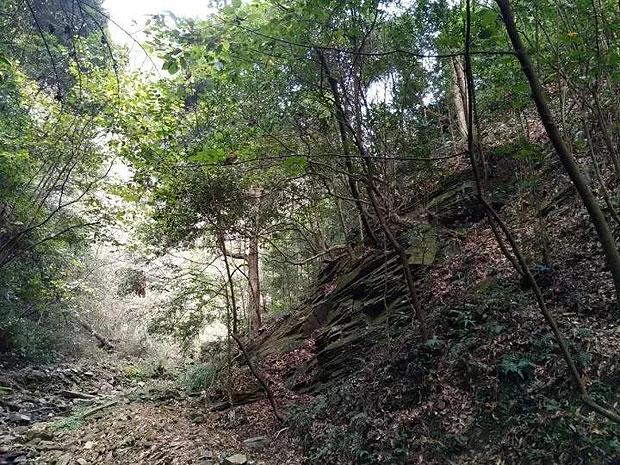 远征军：维京
