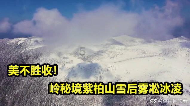 88影视