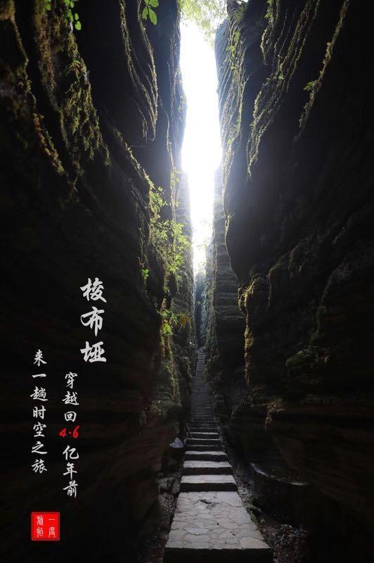 异世契