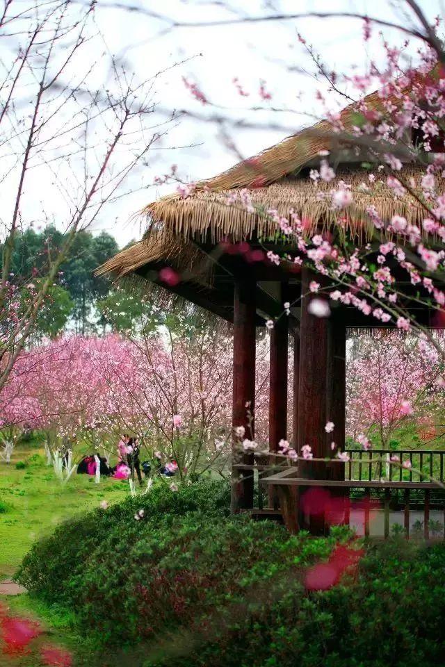 宋一雄《藏心》杀青 进组《胭脂围城》 上演乱世情仇