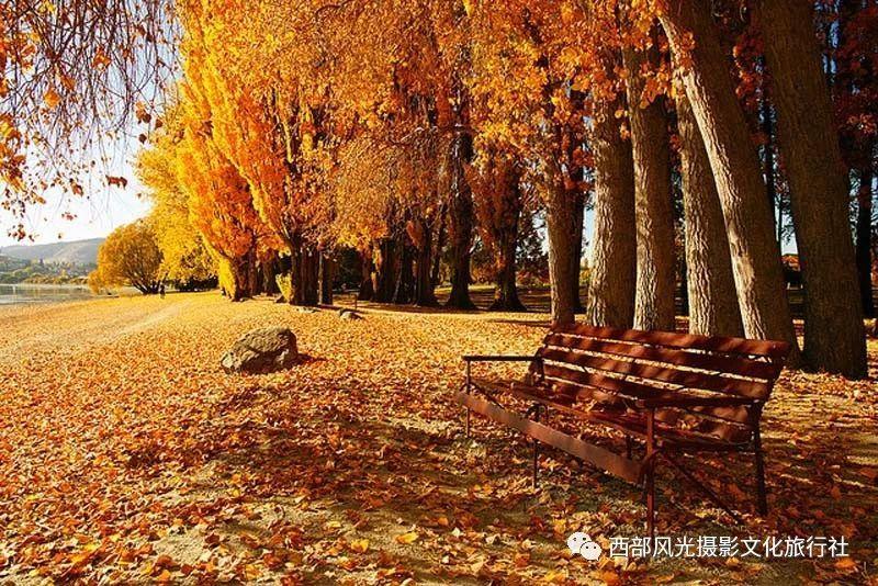 广东:培育壮大战略性新兴产业,推动传统产业提质升级