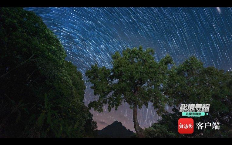 【以案释法】盗掘“土龙骨”,触犯刑法!
