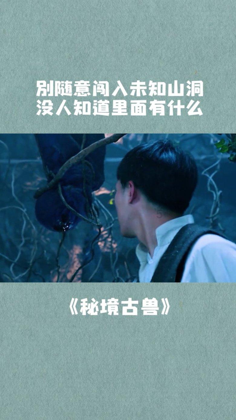 全民烧脑3去广告版