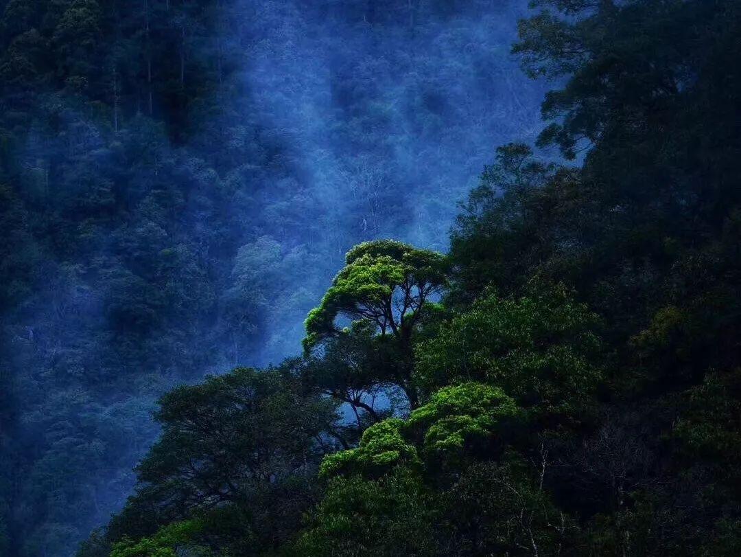 小矮怪挖金矿