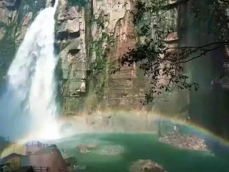小猫钓鱼游戏龙王版有船