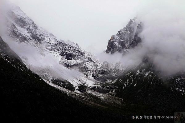 动物帮帮忙保卫家园