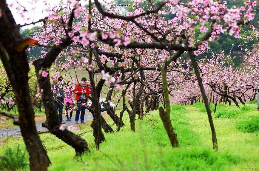 the borad and fertile land is ours the source of food and clothing in the wide territory游戏画面