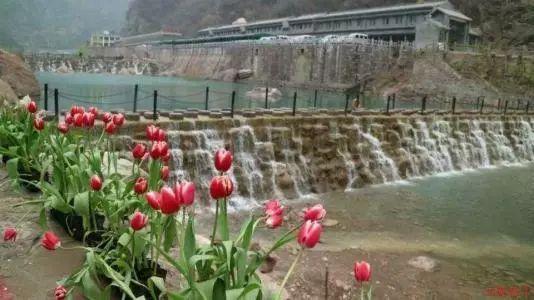 燃烧吧大脑装瓶子游戏