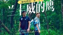 古墓丽影9