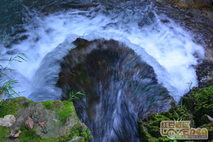 打假测评,梅菜红烧肉的发源地是山东?网友:真能吹!