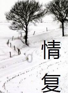 小猫钓鱼正版下载中文版