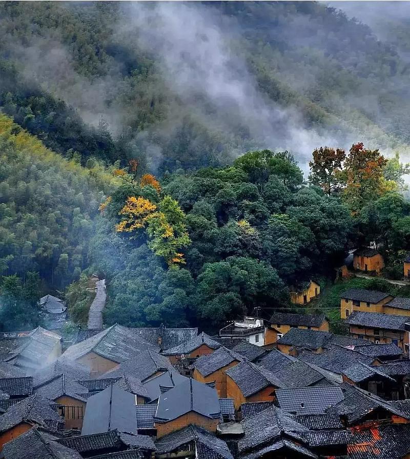 动物帮帮忙保卫家园