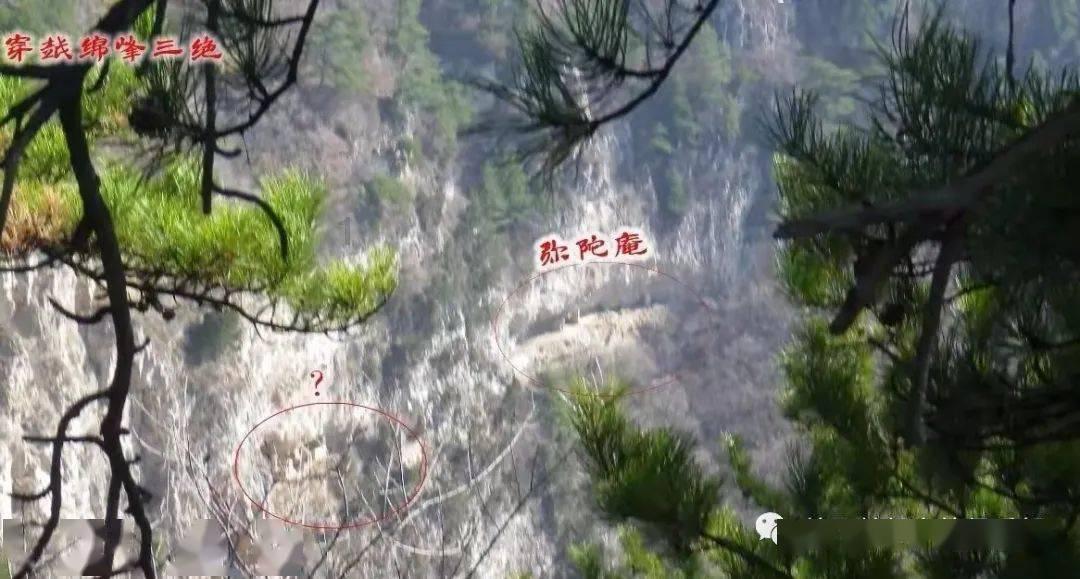 看齐华为苹果!谷歌自研Soc曝光:台积电代工