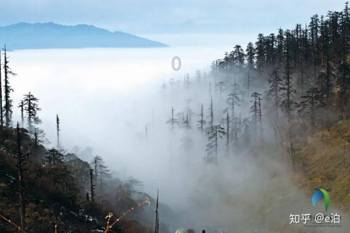迷你汽车记忆卡