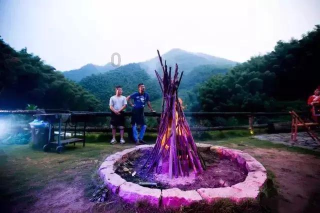 虫虫助手下载