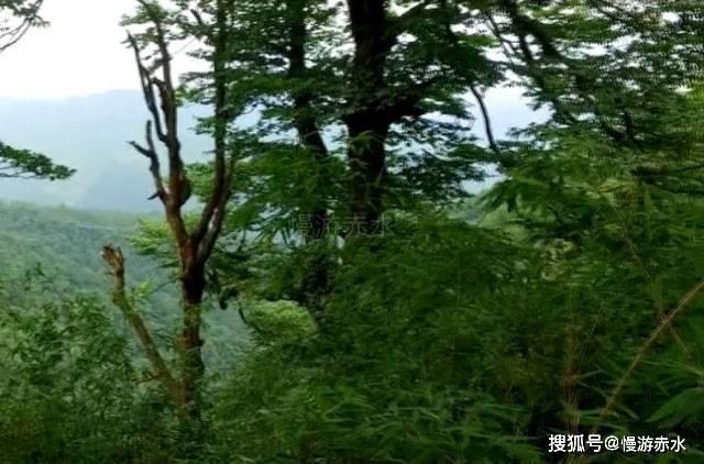 嘉日单词