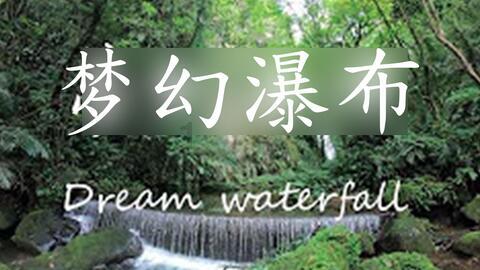 小猫钓鱼游戏龙王版有船