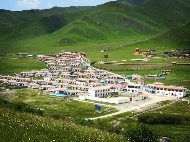 僵尸任务
