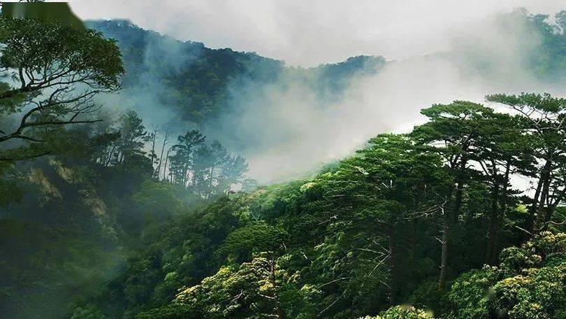 沪江开心词场