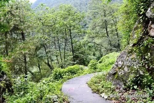 五彩几何塔选关版