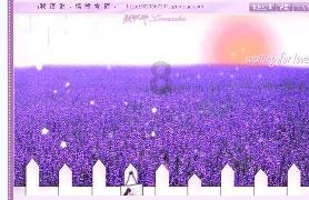 妙鸭相机app下载官网