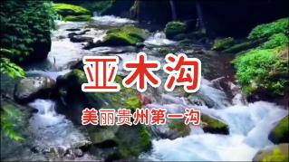 燃烧吧大脑免广告最新版
