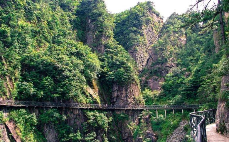 逃出奶油苹果屋