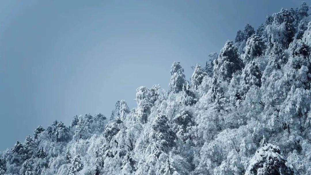 公主烹饪蛋糕