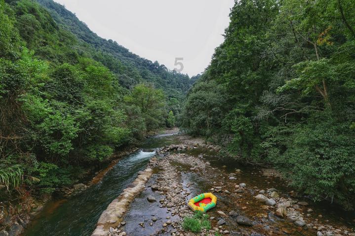 狂野的飙客无敌版