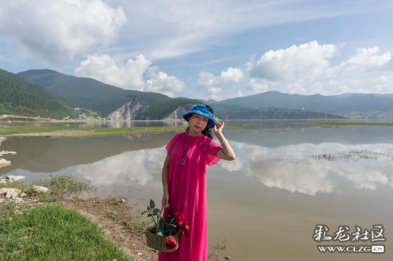 逃出小象森林