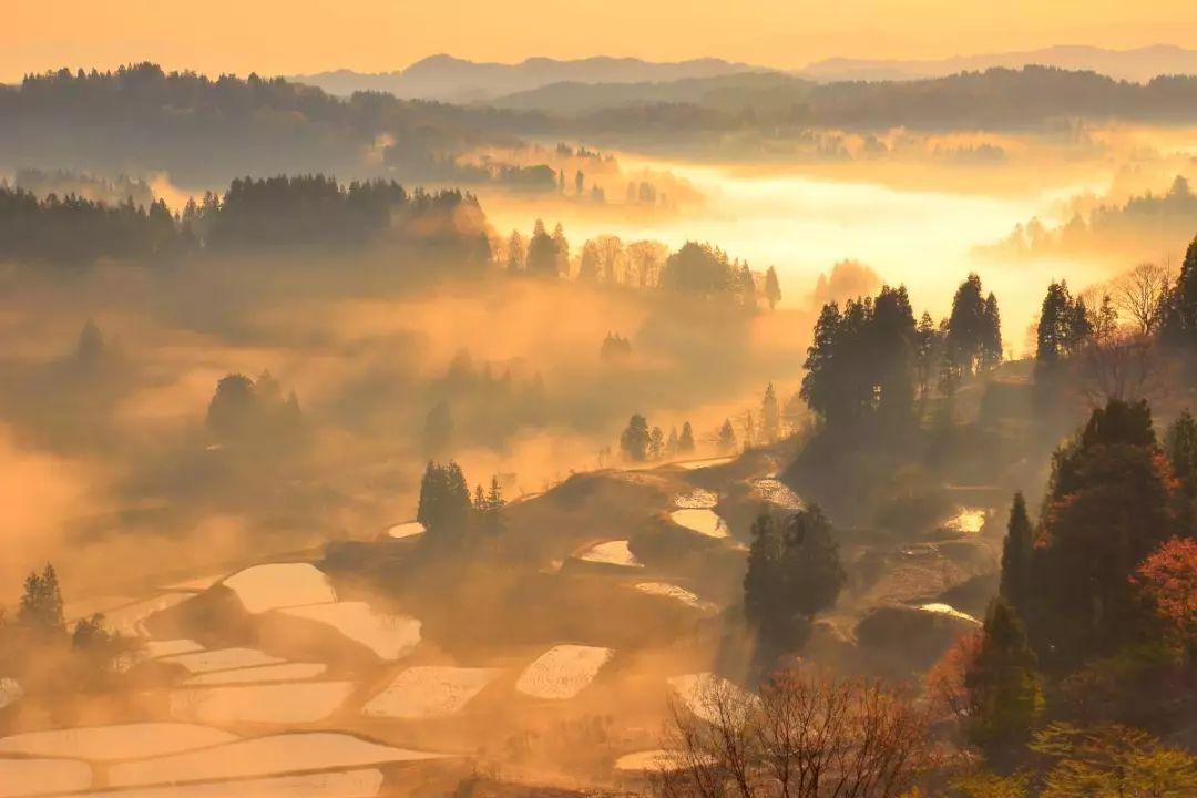 未知的岛屿