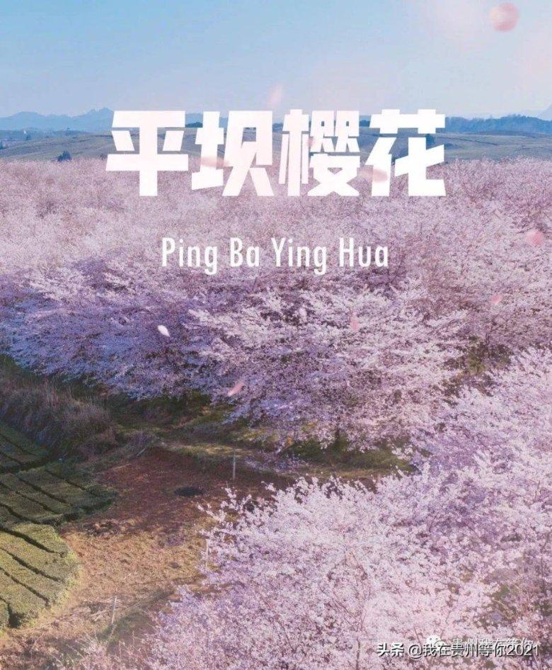 创作猫