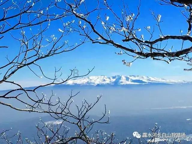 燃烧吧大脑装瓶子游戏
