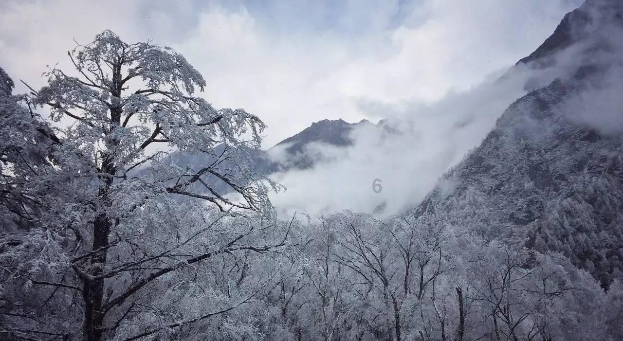美图秀秀下载2023最新版