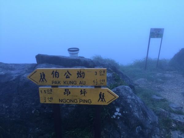 杨丽娟、邹渐督导检查道路交通安全和抗凝保畅工作