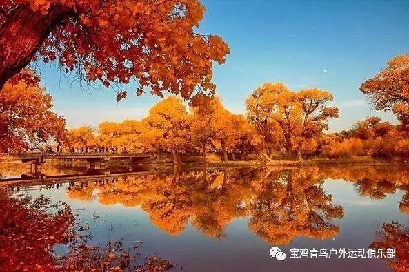 想回村养羊,听说羊只吃草就行,是这样吗?-机智问答网页,智慧解答多种问题