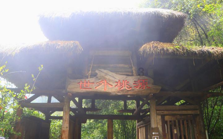 BusNo·206的英语怎么读音发音？游戏画面